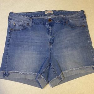 Molly & Isadora jean shorts sz 20